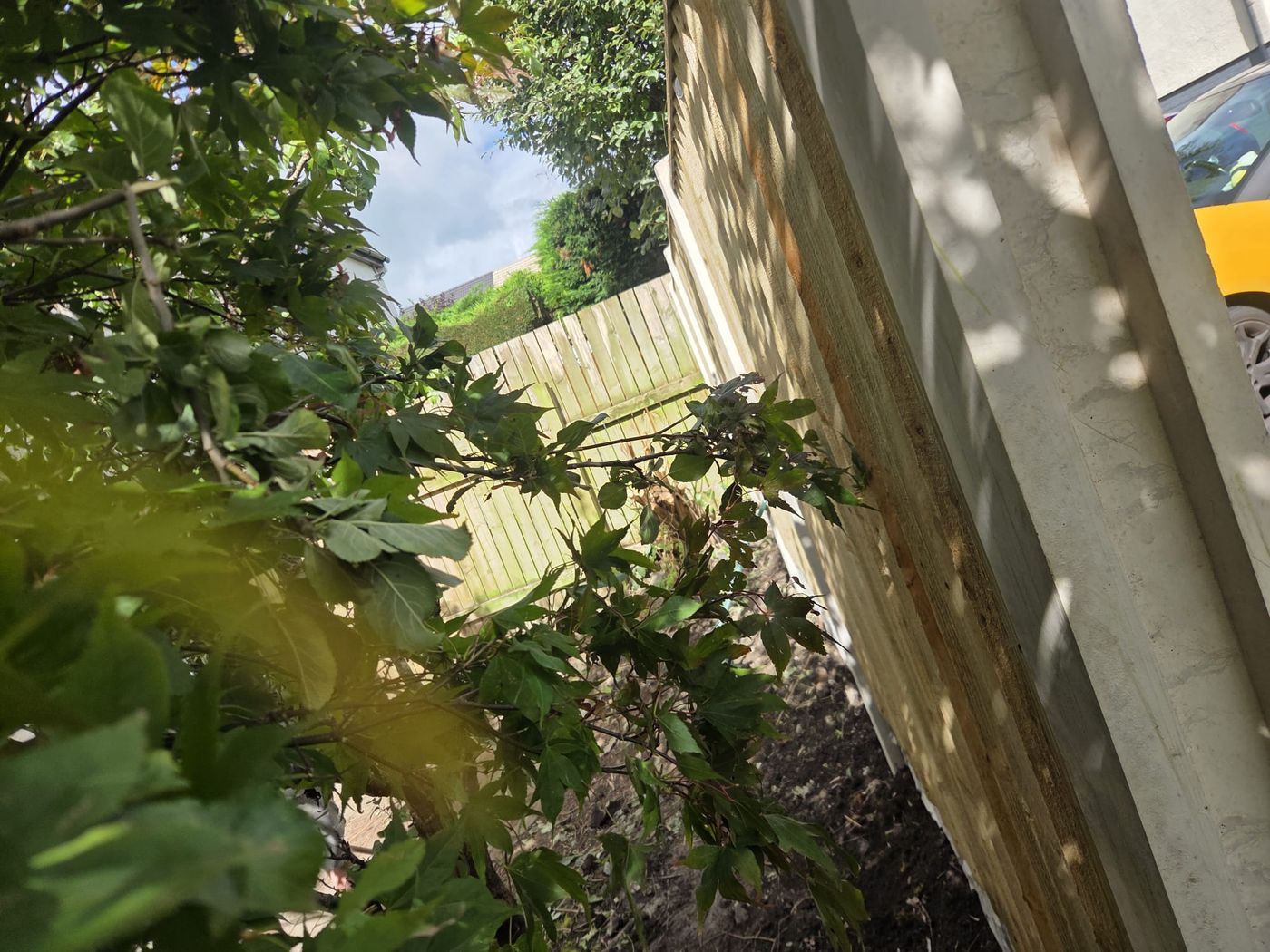 New fence run built behind an established shrub border