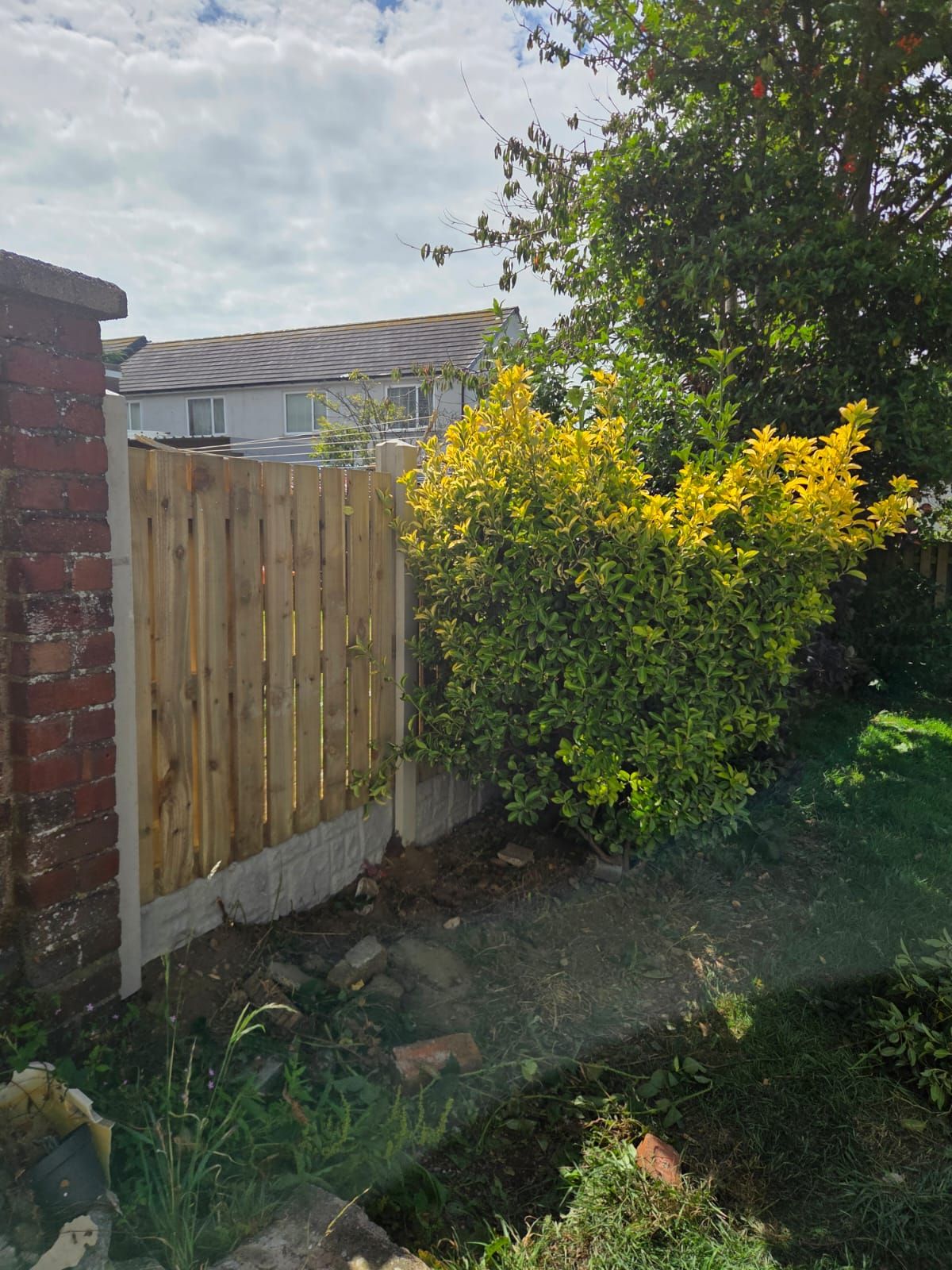 New timber garden fencing and gate