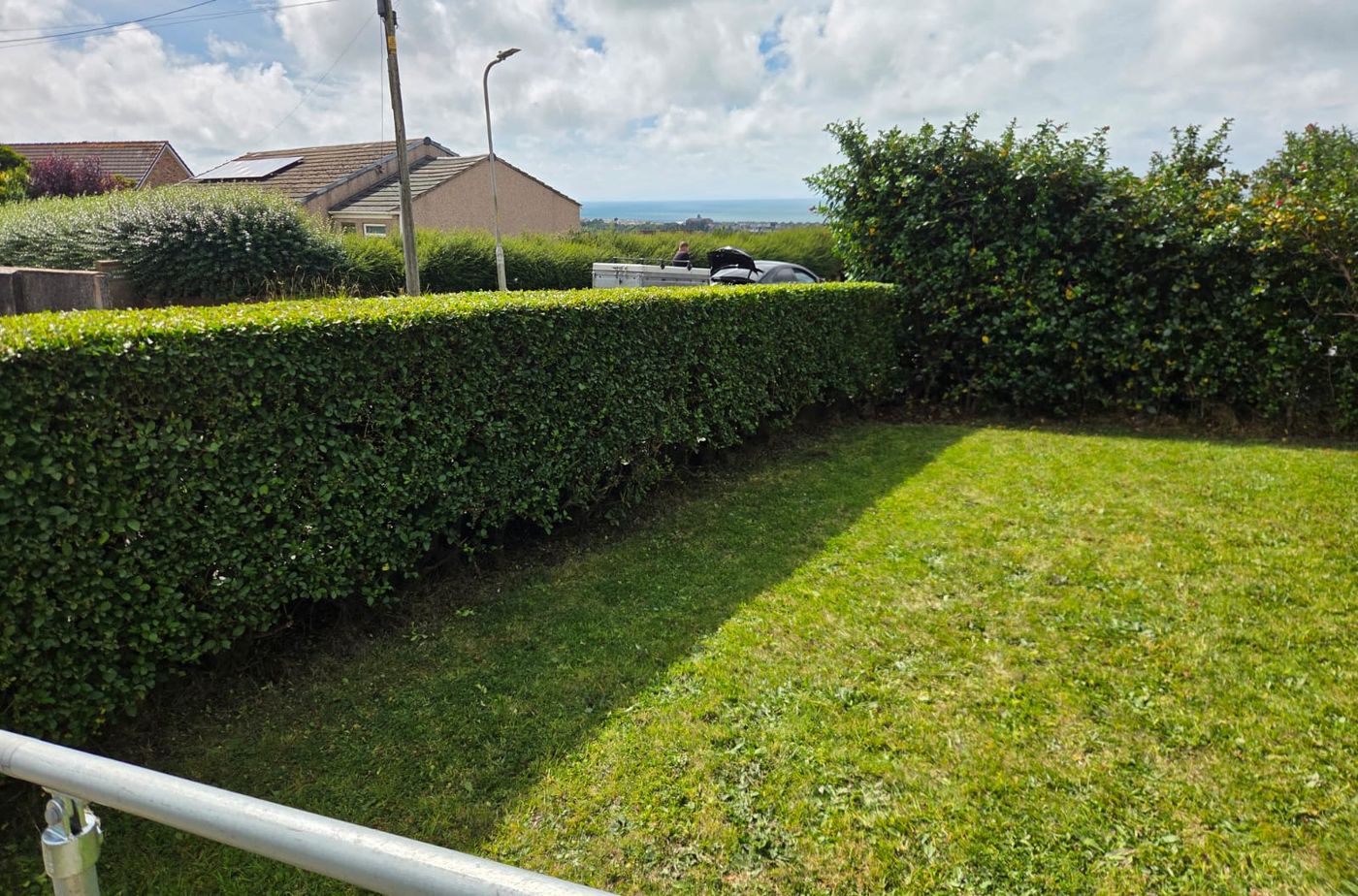 Freshly trimmed hedge with sea view