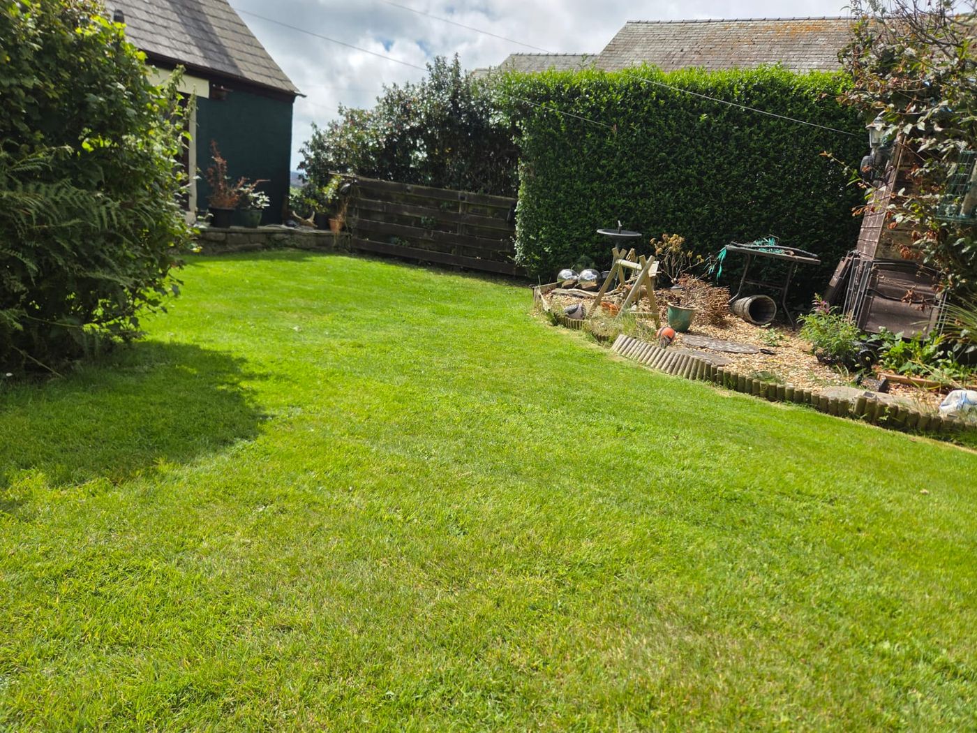 Freshly mown lawn beside a trimmed hedge